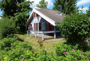 Wildgans 270, Mirow